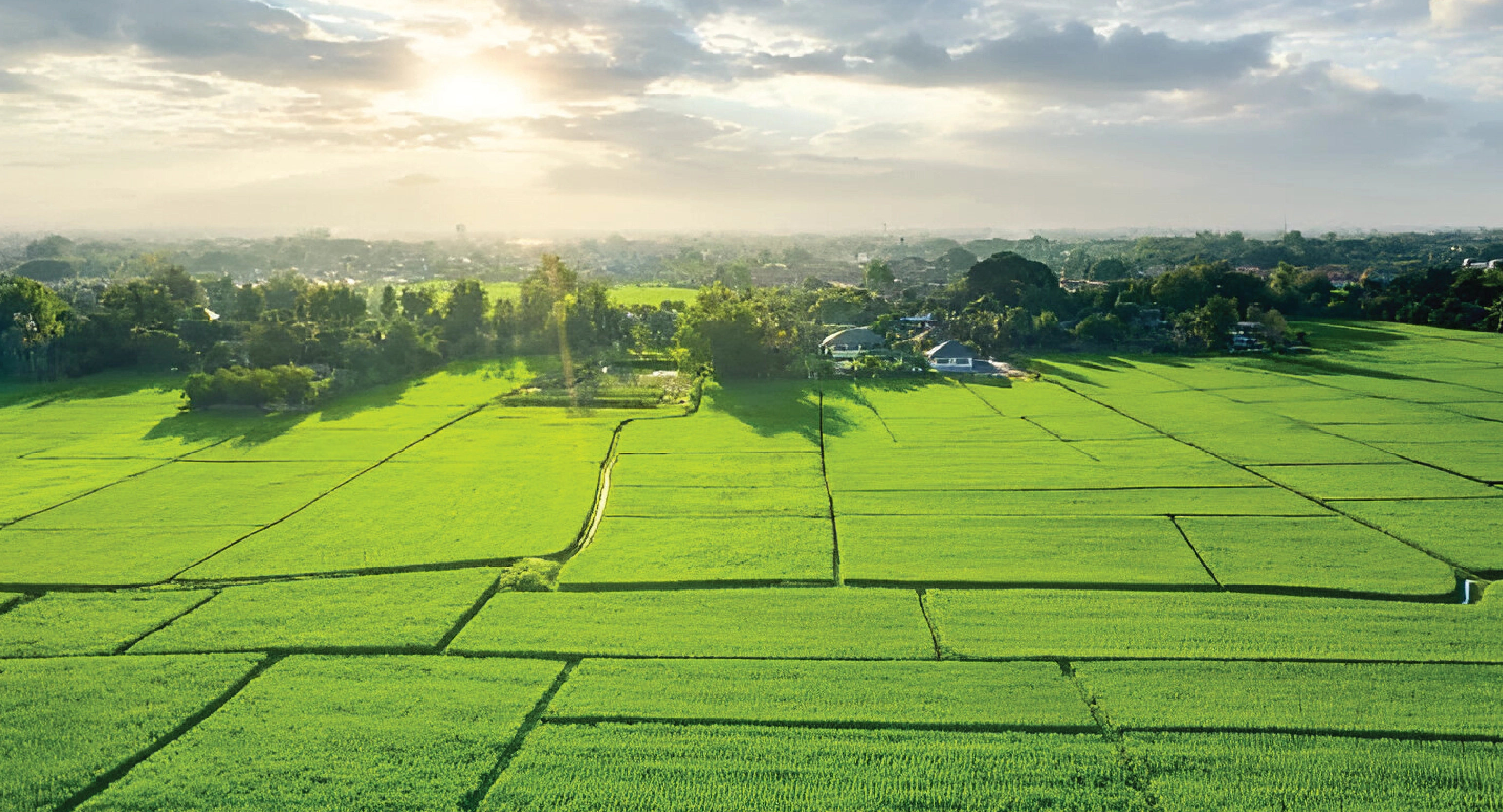 Kanhe Talegaon Plots